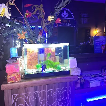 酒店 Maximum Hamam 库萨达斯